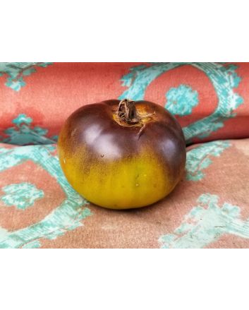 Tomato 'Wagner Blue Green' 