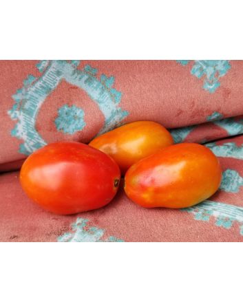 Tomato 'Chico III' Seeds (Naturally Grown) 