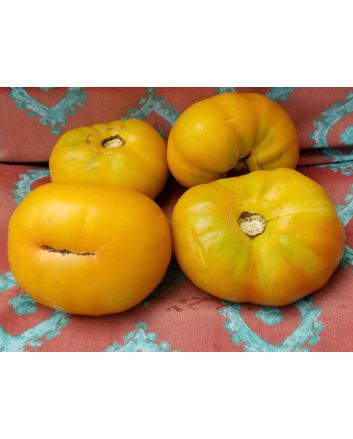 Tomato 'Marzipan Gold' Seeds (Naturally Grown)