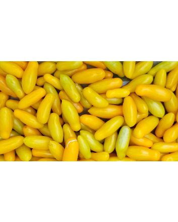 Tomato 'Starlight' Seeds
