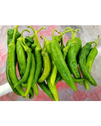 Hot Pepper 'Guajillo' Seeds (Naturally Grown)