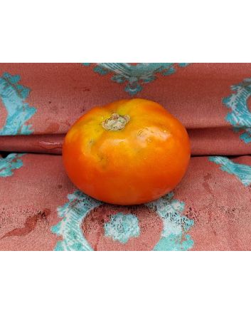 Tomato 'Heinz 1527' Seeds (Naturally Grown)