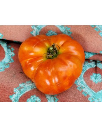 Tomato 'Believe It Or Not' 