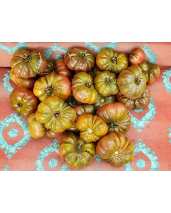 Tomato 'Purple Calabash'