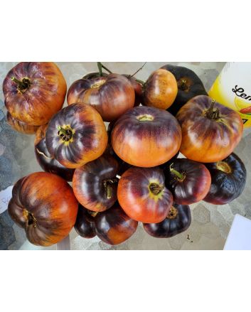 Tomato 'Blue Beauty' 