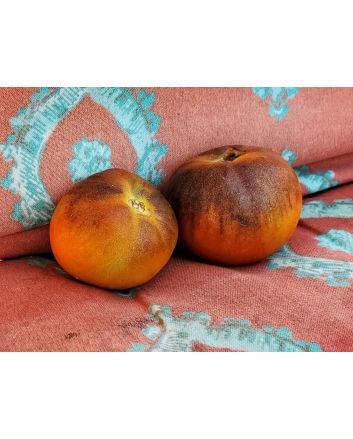 Tomato 'Kaleidoscopic Jewel' Seeds (Naturally Grown)