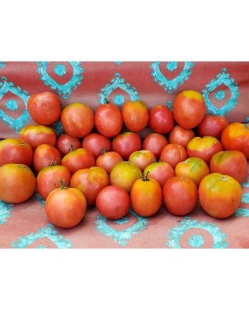 Tomato 'Amerikanskiy Sladkiy' 