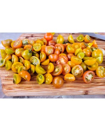 Tomato 'Ambrosia Gold' 