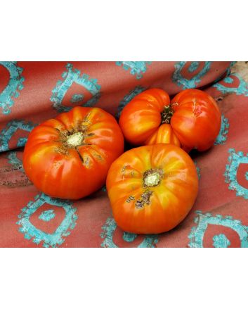 Tomato 'Big Zac' Seeds
