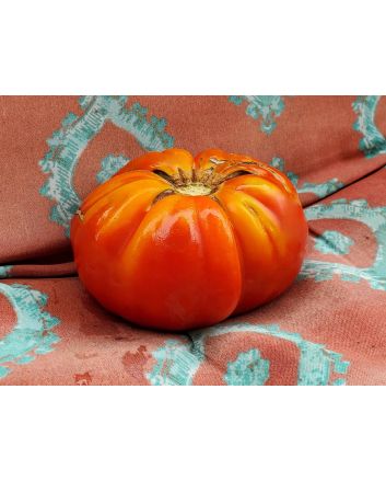Tomato 'Zogola'