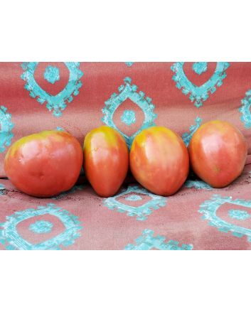 Tomato 'Work Release Paste' 