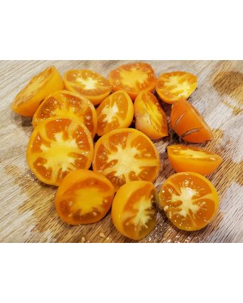 Tomato 'Orange King'