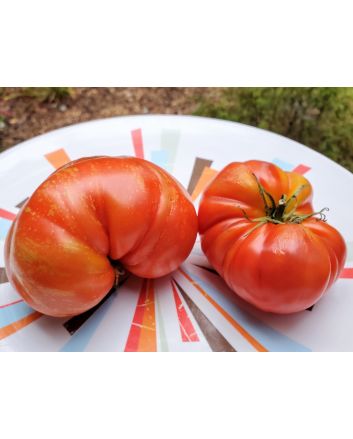 Tomato 'Strawberry Leopard' Seeds (Naturally Grown)