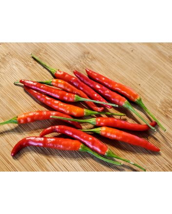 Hot Pepper ‘Rooster Spur’ Seeds (Naturally Grown)