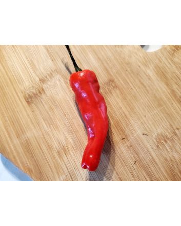 Hot Pepper ‘Tunisian Baklouti’ Seeds (Naturally Grown)