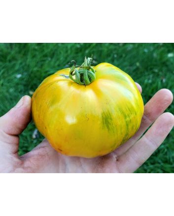 Tomato 'Lava Flow' Seeds (Naturally Grown)