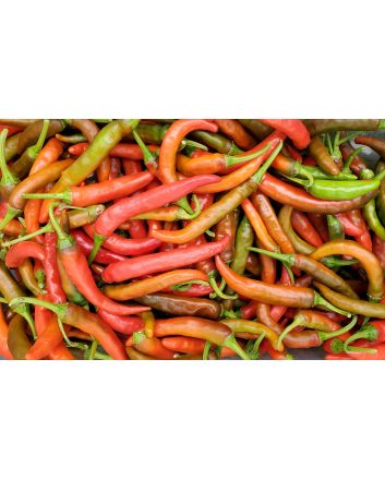 Hot Pepper ‘Louisiana Red Cayenne’ Seeds (Naturally Grown)