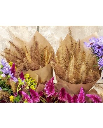 Ornamental Foxtail Grass Bouquet