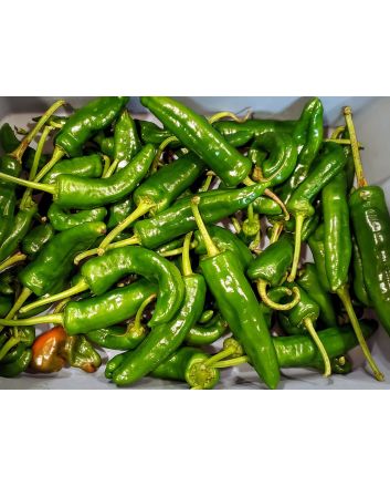 Hot Pepper ‘Tunisian Baklouti’ Seeds (Naturally Grown)