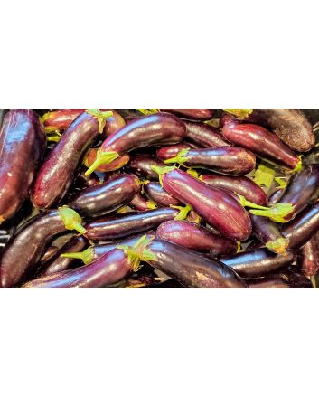 Eggplant ‘Diamond’ Seeds (Naturally Grown)