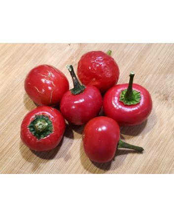 Hot Pepper ‘Satan's Kiss’ AKA 'Piccante Calabrese'