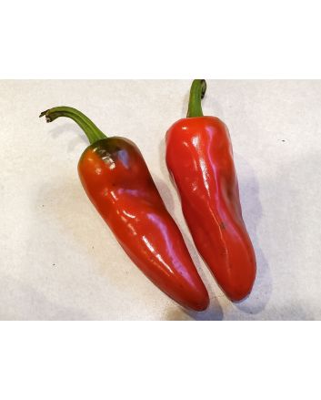 Hot Pepper ‘Aji Panca’ Seeds (Naturally Grown)