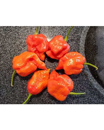 Hot Pepper ‘Naga Death’ Seeds (Naturally Grown)