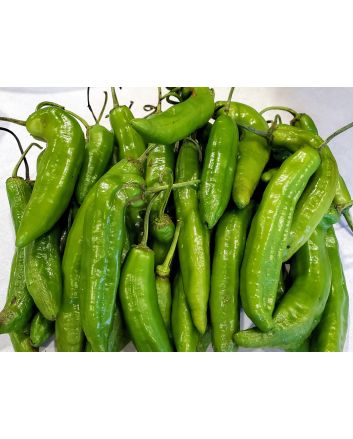 Hot Pepper ‘Aji Amarillo’ Seeds (Naturally Grown)