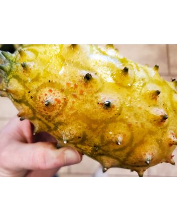 Jelly Melon (Kiwano) AKA African Horned Cucumber Seeds