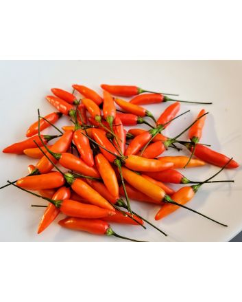 Hot Pepper 'Tabasco' Seeds (Naturally Grown)