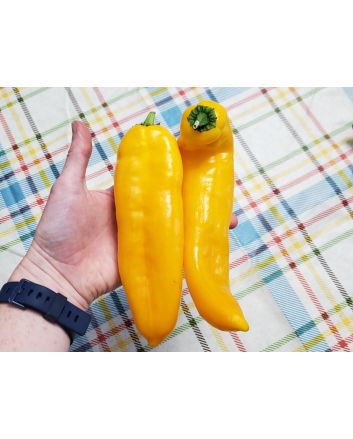 Pepper 'Super Sweet Giant Yellow' Seeds (Naturally Grown)