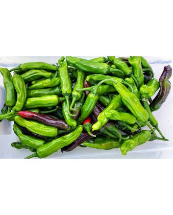 Mild Pepper 'Italian Pepperoncini' Seeds (Naturally Grown)