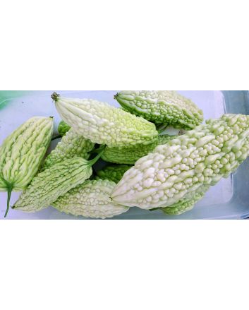 White Bitter Melon Seeds (Naturally Grown)