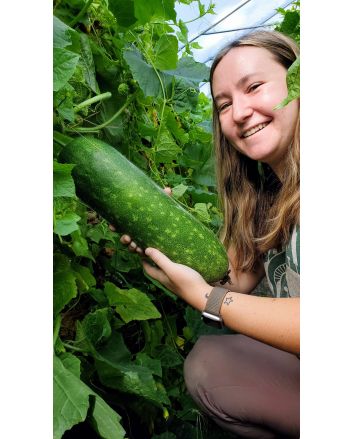 Mao Qua AKA Fuzzy Gourd 