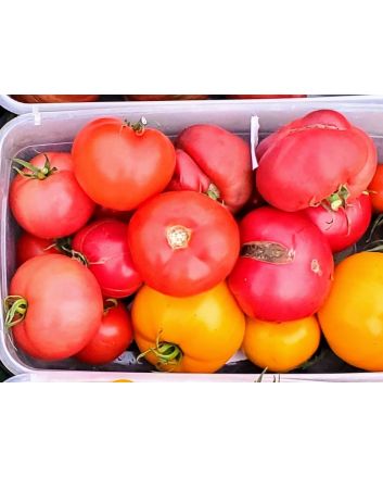 Tomato 'Eva Purple Ball' Seeds (Naturally Grown)