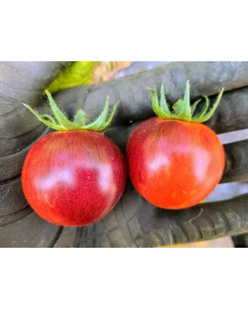 Tomato 'Black Strawberry' Seeds (Naturally Grown)