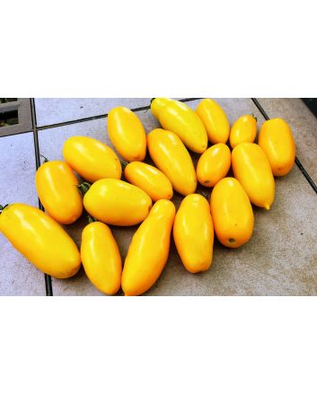 Tomato 'Golden Roma' Seeds (Naturally Grown)