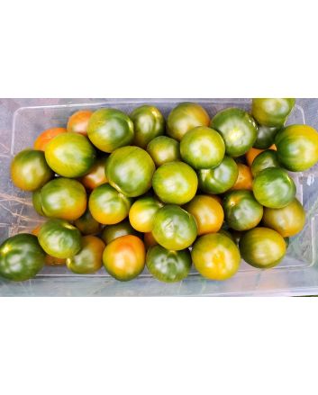Tomato 'Evil Olive' Seeds (Naturally Grown)