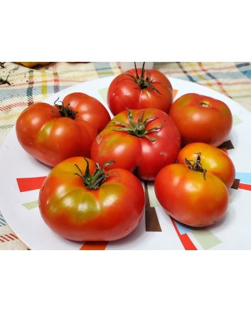 Tomato 'Trophy' Seeds (Naturally Grown)