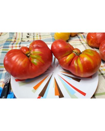 Tomato 'Cuore de Toro Beefsteak Cross' AKA 'Bull's Heart' Seeds (Naturally Grown)