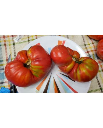 Tomato 'Cuore de Toro Beefsteak Cross' AKA 'Bull's Heart' Seeds (Naturally Grown)