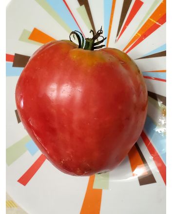 Tomato 'Giant Oxheart' Seeds (Naturally Grown)