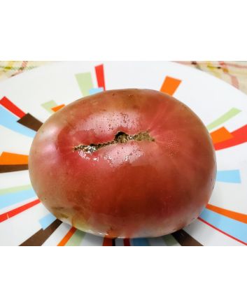 Tomato 'Amazon Chocolate'