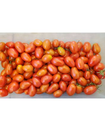 Tomato 'Teardrop Red Grape' 