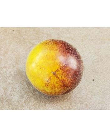 Tomato 'Wooly Kate'