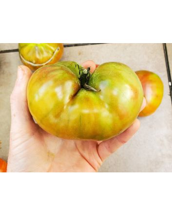 Tomato 'Vorlon' 