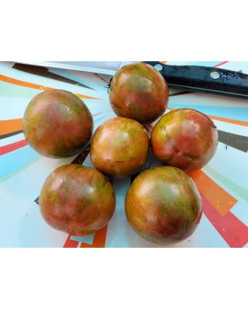Tomato 'Black Zebra'