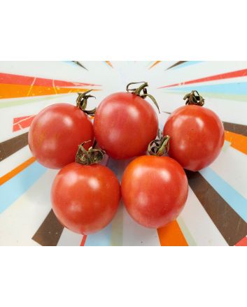 Tomato 'Pink Sprinkles' Seeds (Naturally Grown)