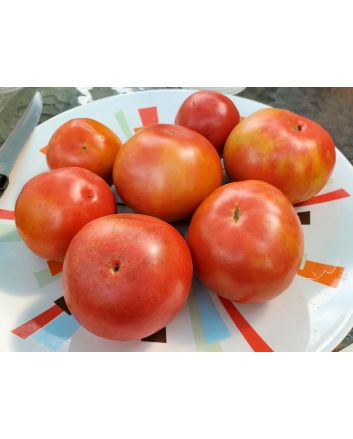 Tomato 'Goose Creek' Seeds (Naturally Grown)