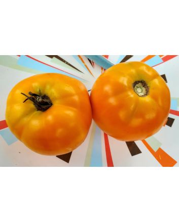 Tomato 'Golden Sunray' 